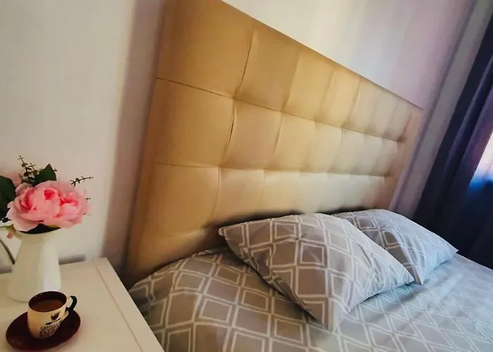 Appartement met een Slaapkamer
